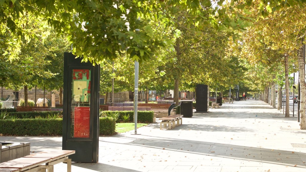 North Terrace was deserted yesterday. Photo: Michael Errey/InDaily