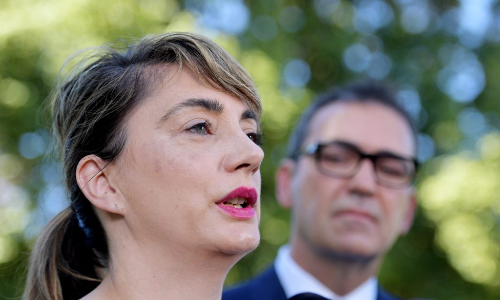 Human Services Minister Michelle Lensink. Photo: Tracey Nearmy/AAP