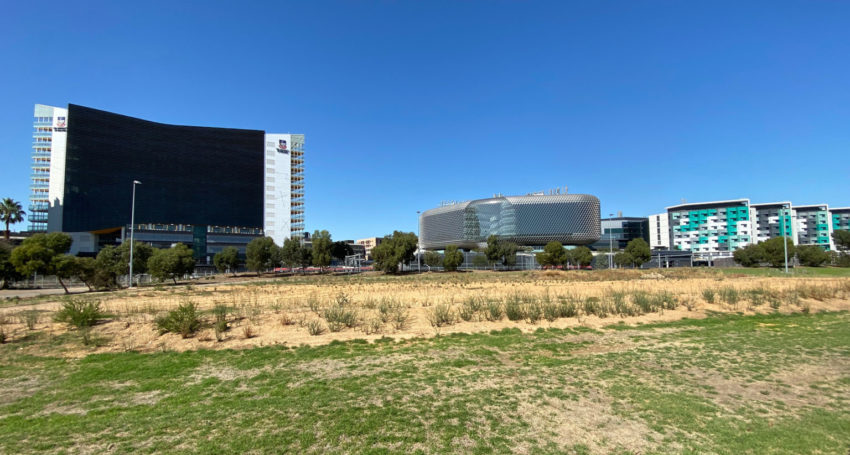 Photo: Tony Lewis/InDaily