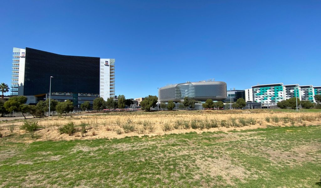 Unused land west of Morphett St Bridge understood to be part of planning for a city stadium site. Photo: Tony Lewis / InDaily