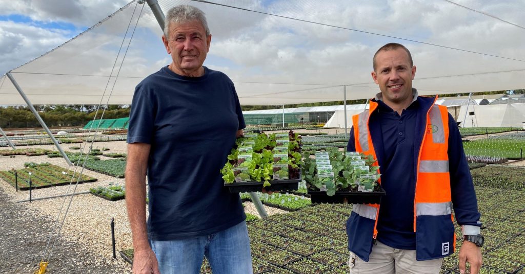 Thumbnail for Nursery triples production to get veggie seedlings back on shelves