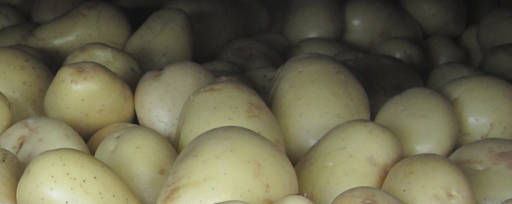 Thumbnail for Thomas Foods sells to Mitolo as meat and potatoes go separate ways