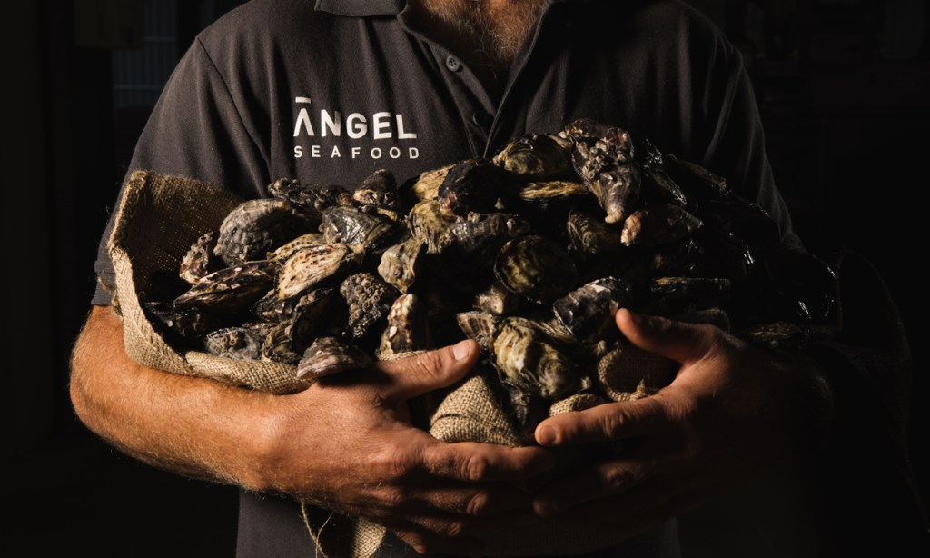 Thumbnail for Champagne time for SA oyster firm despite virus slowdown