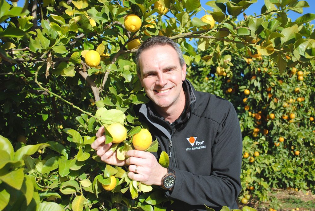 Thumbnail for Call for pickers to harvest Riverland citrus