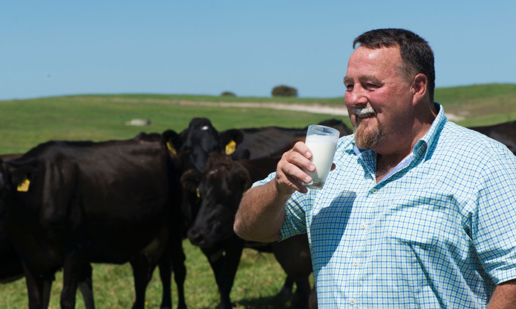 Thumbnail for Dairy plan to trace milk from grass to glass