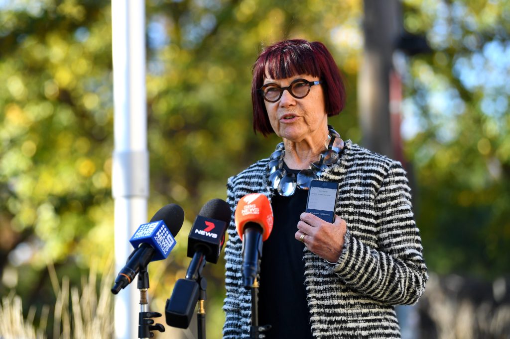 Professor Jenny Hocking speaks to media in Melbourne today. Photo: AAP/James Ross