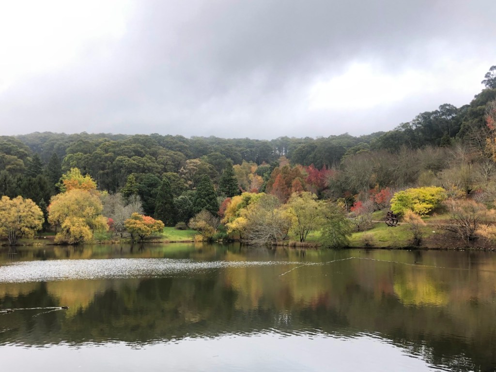 Thumbnail for Mt Lofty Botanic Garden, Cleland reopen