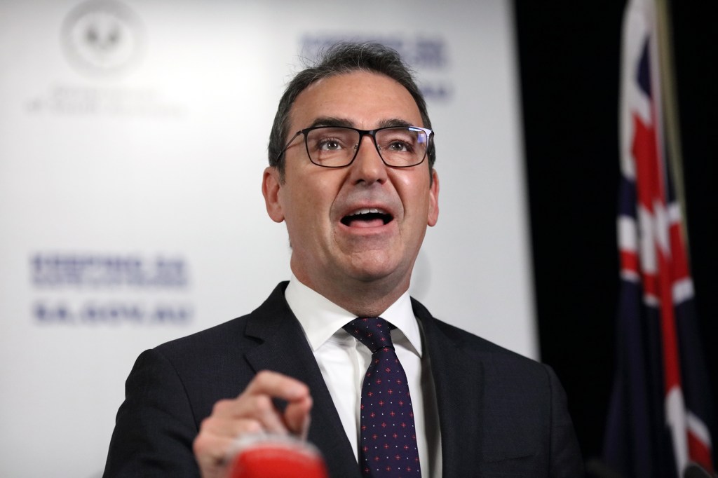 Thumbnail for Libs seek public feedback on restrictions as SA lags nation