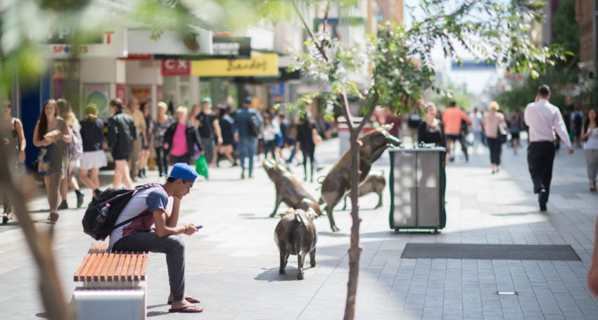 Thumbnail for City council moves to roll out ‘next generation’ Adelaide Free WiFi