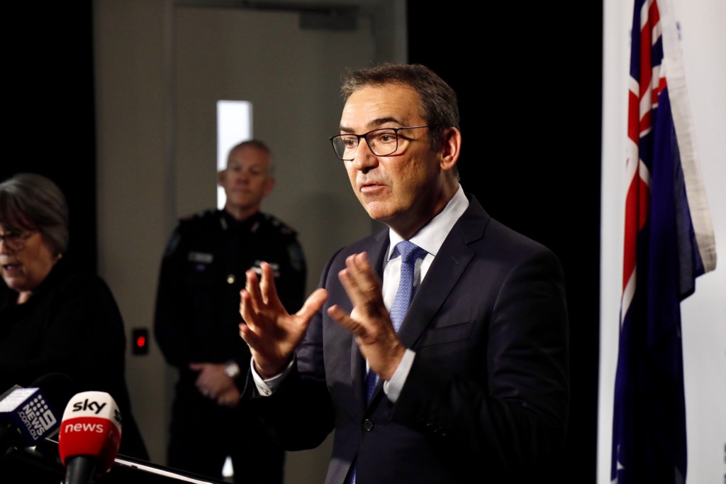 Steven Marshall talks to media today. Photo: Tony Lewis / InDaily