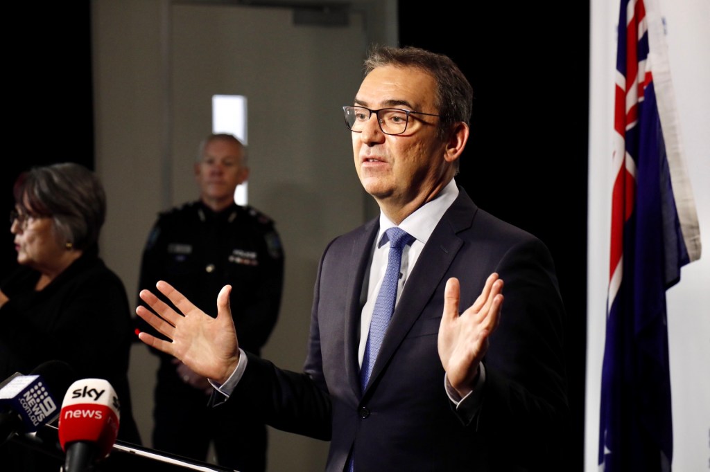 Steven Marshall. Photo: Tony Lewis/InDaily