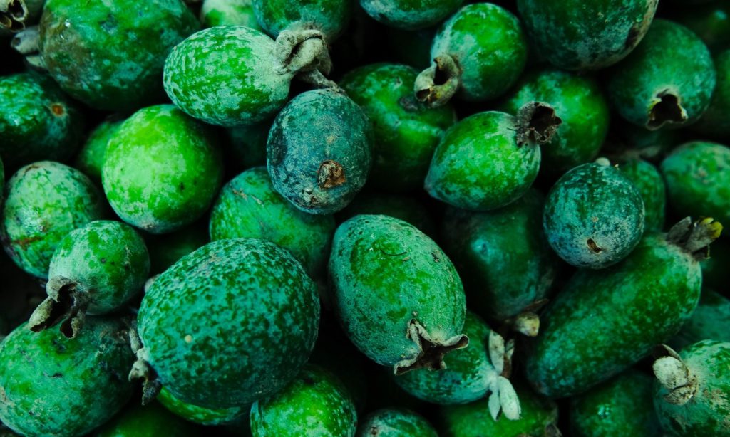 Thumbnail for Feijoa fruit wins larger slice of market pie