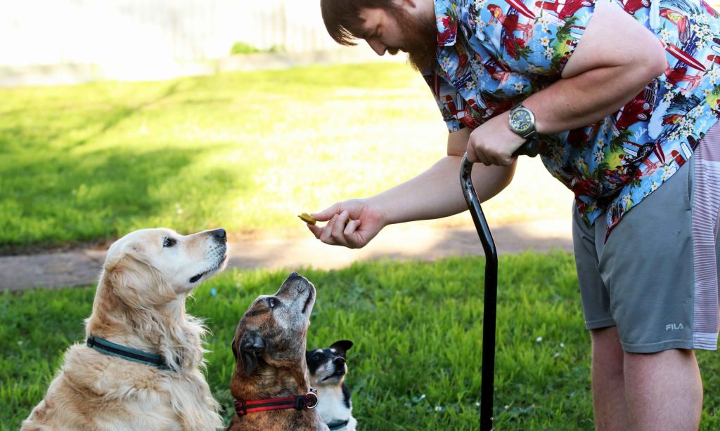 New business owner Adrian Lepley calls his three dogs his "Quality Control Team". Photo: Kate Hill