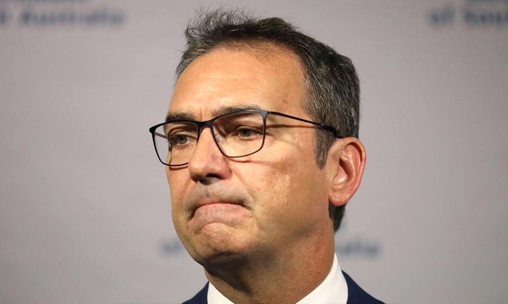 Thumbnail for Premier defends fallen ministers as reshuffle takes shape