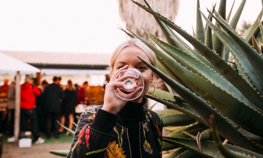 Thumbnail for Wine Playground at the Stag and Shobosho pops up at Oddio Bowden