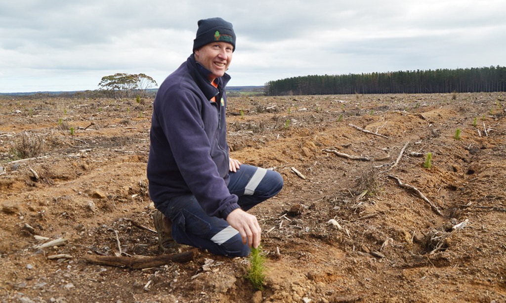 KIPT operations team leader Brian Stewart with the newly-planted seedlings. 