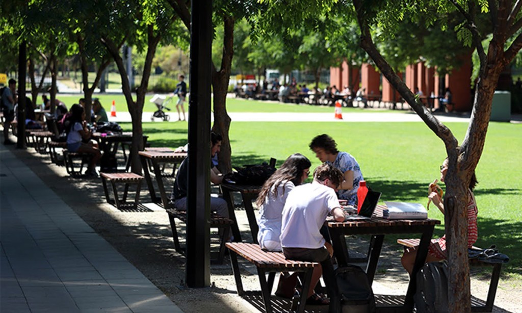 Thumbnail for “No shortcut” for returning international students despite SA Govt exemption