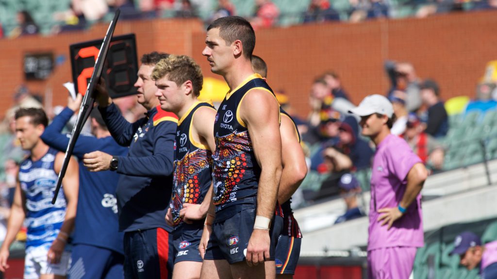 Adelaide's past and future watch from the sidelines yesterday. Photo: Michael Errey / InDaily