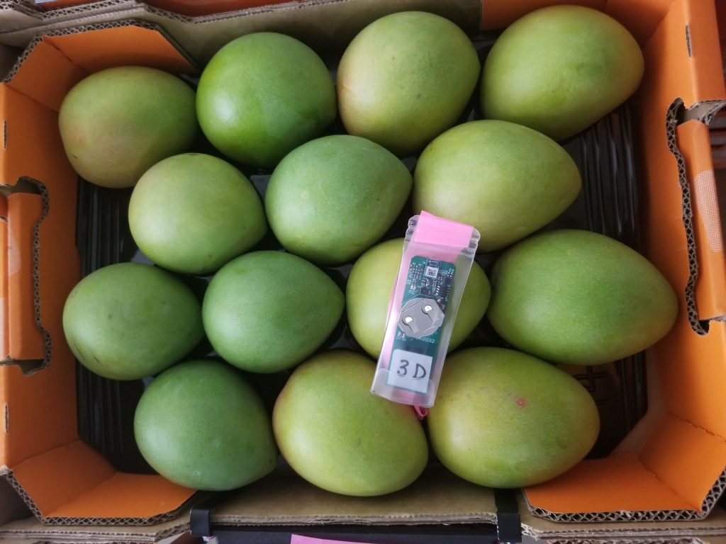 Thumbnail for Trace, track and trust – AgTech solutions boost SA’s food provenance story