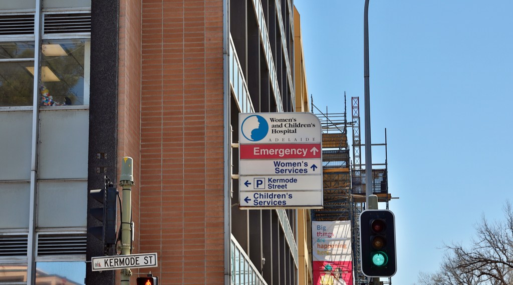 Thumbnail for Women’s and Children’s Hospital needs life support right now