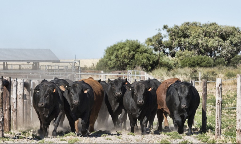 Thumbnail for Technical innovations lend farmers a helping hand