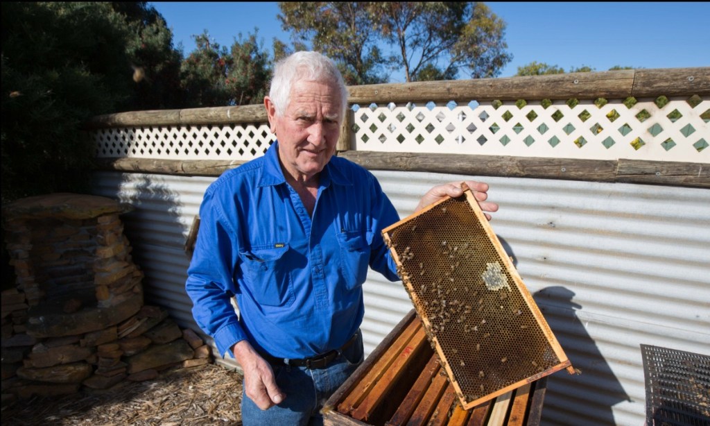 Thumbnail for Beekeepers swarm on KI to build new hives