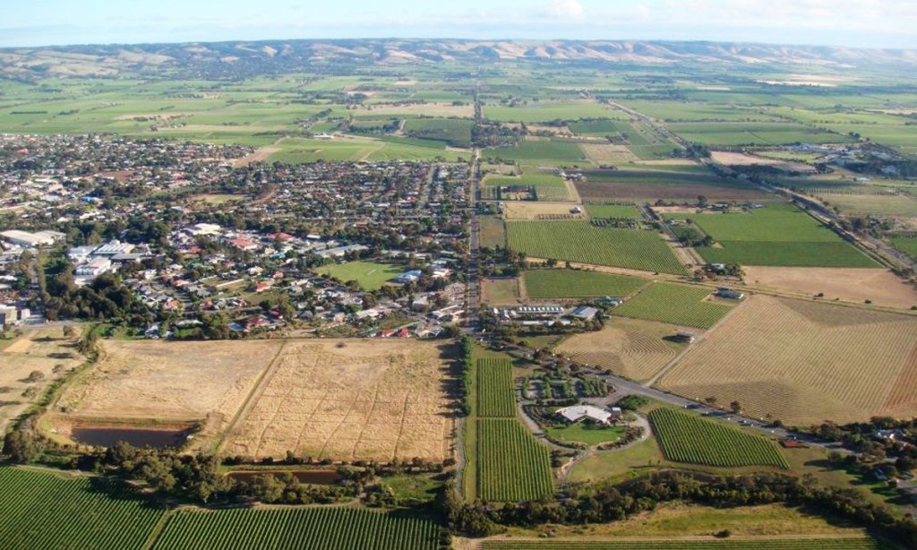 Thumbnail for Key SA wine region leads push to remain GM-free