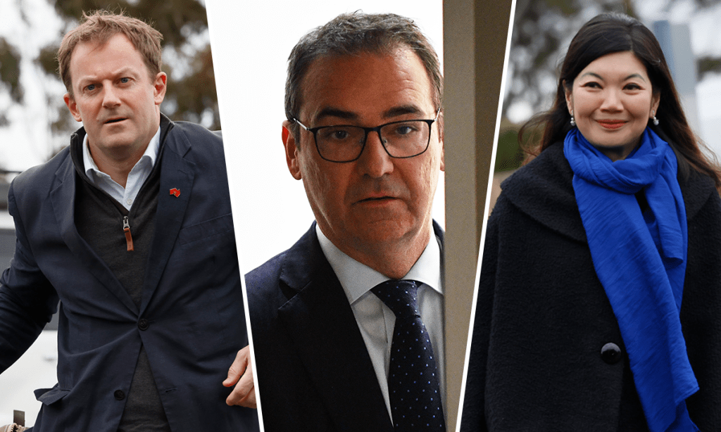 Thumbnail for A party divided: Libs in turmoil as factions declare war