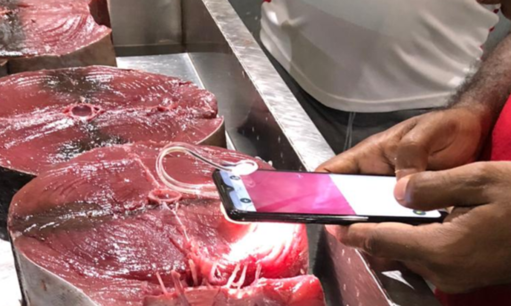 Thumbnail for SA startup moves into Sri Lanka seafood market