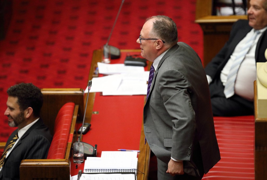 Legislative Council incumbents - and hopefuls - Kyam Maher (left) and Ian Hunter. Photo: Tony Lewis / InDaily