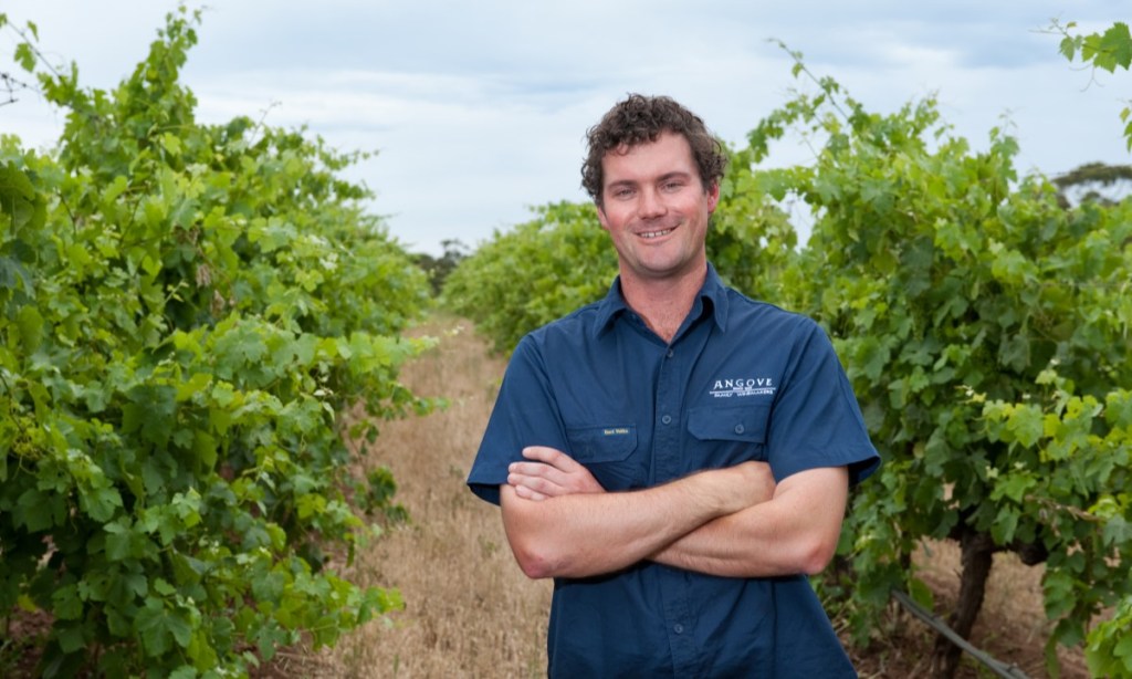 Thumbnail for Living Proof podcast: St Agnes Distillery ramps up brandy production