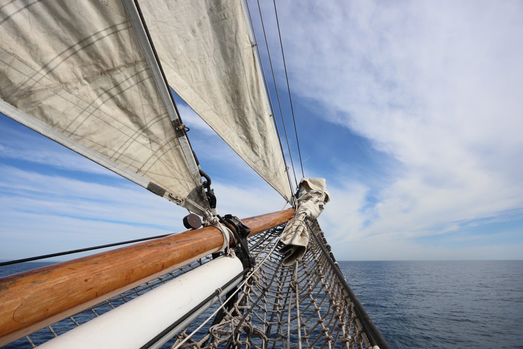 Thumbnail for High seas adventure for South Australians one and all