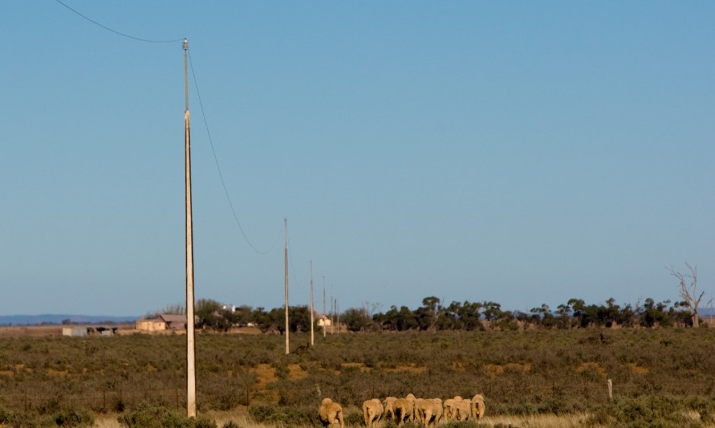 SA Power wants to hear from South Australians served by Single Wire Earth Return (SWER) powerlines. 