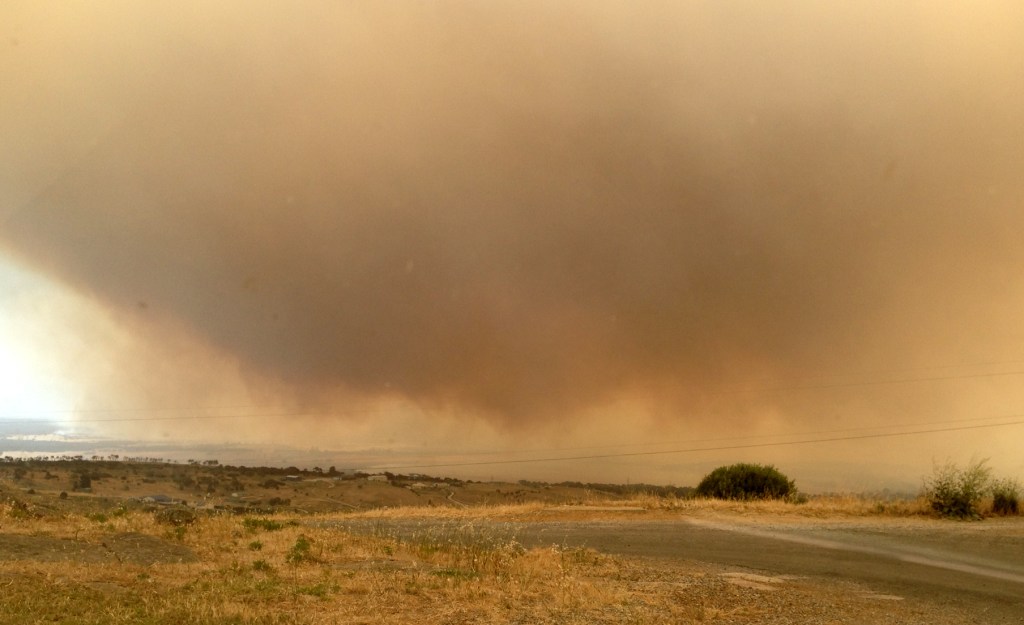 Thumbnail for CFS shocked at speed of bushfire that destroyed house
