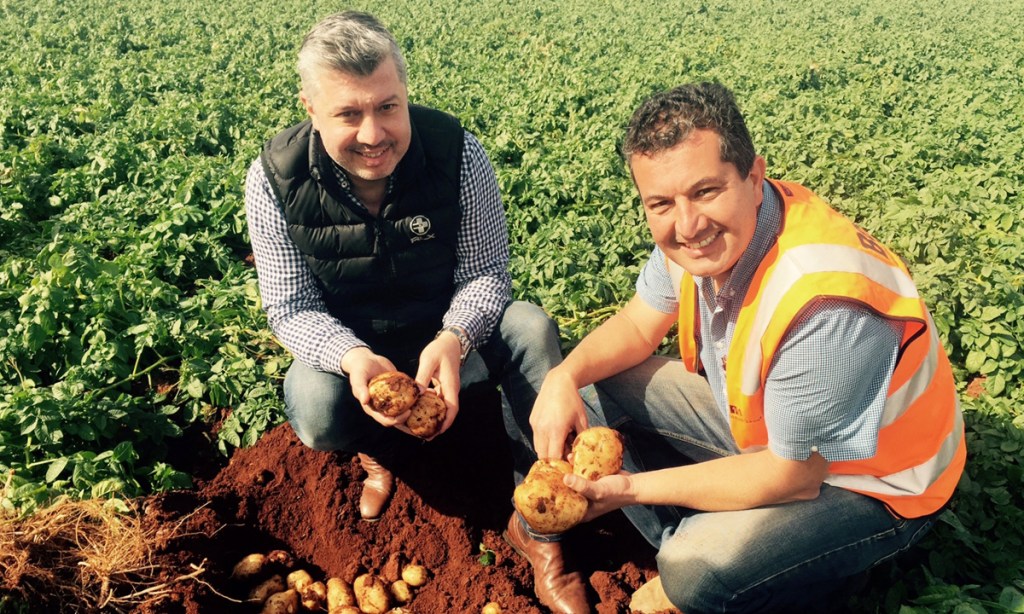 Frank (left) and John Mitolo have begun this season's potato harvest after a strong year of sales throughout the coronavirus pandemic.
