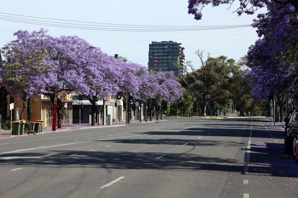 Photo: Tony Lewis/InDaily