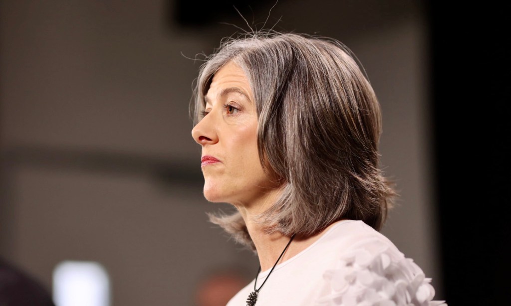 Chief public health officer Professor Nicola Spurrier at the November 17 press conference. Photo: Tony Lewis/InDaily