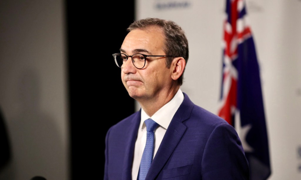 Premier Steven Marshall at this afternoon's press conference. Photo: Tony Lewis/InDaily 