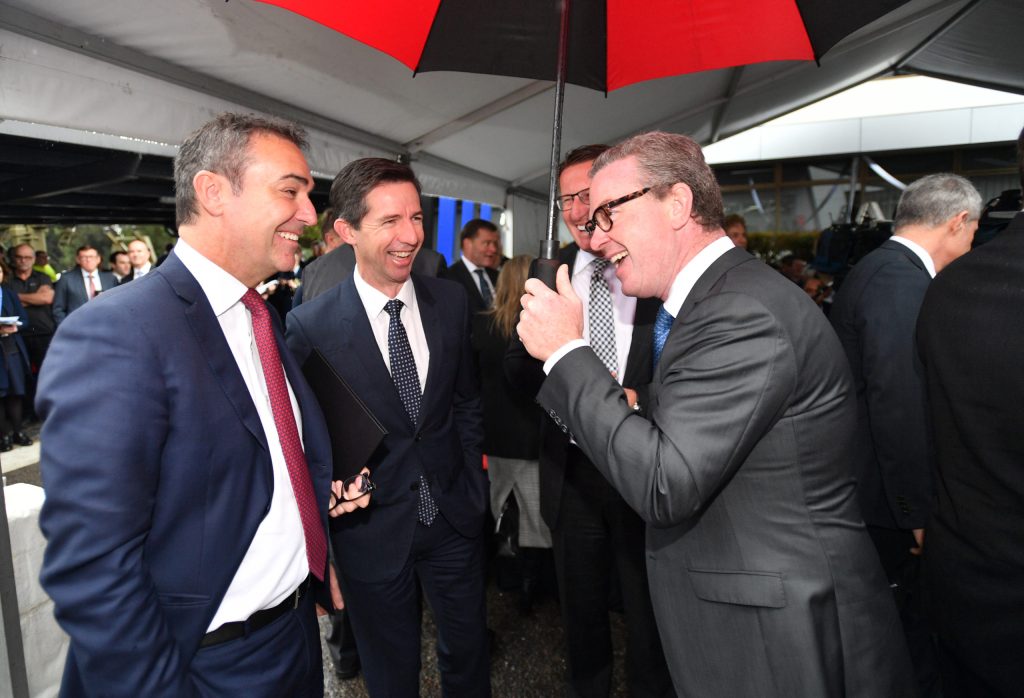 An amendment inspired by former federal minister-turned-lobbyist Christopher Pyne has been linked to the Government's decision to withdraw its own Bill. Photo: David Mariuz / AAP