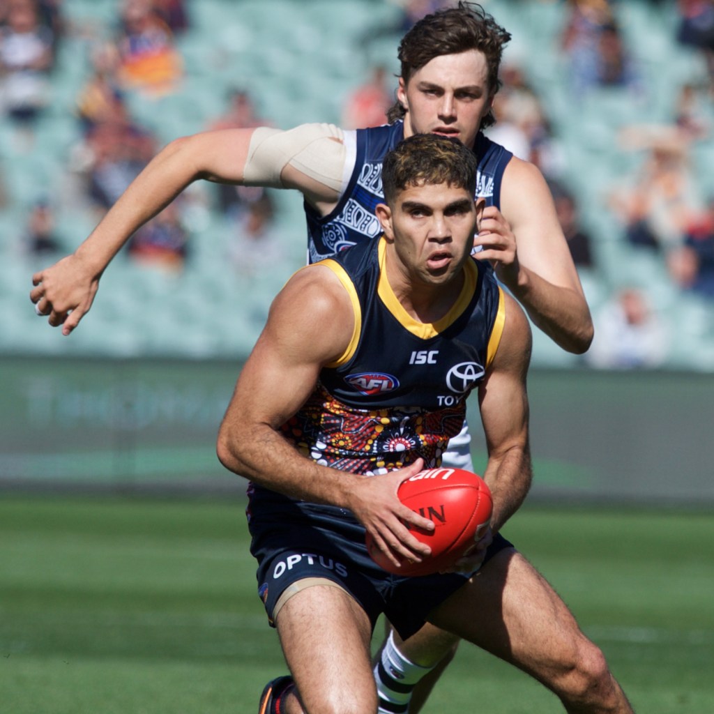 Thumbnail for Crows forward Stengle stood down as club investigates “off-field matter”