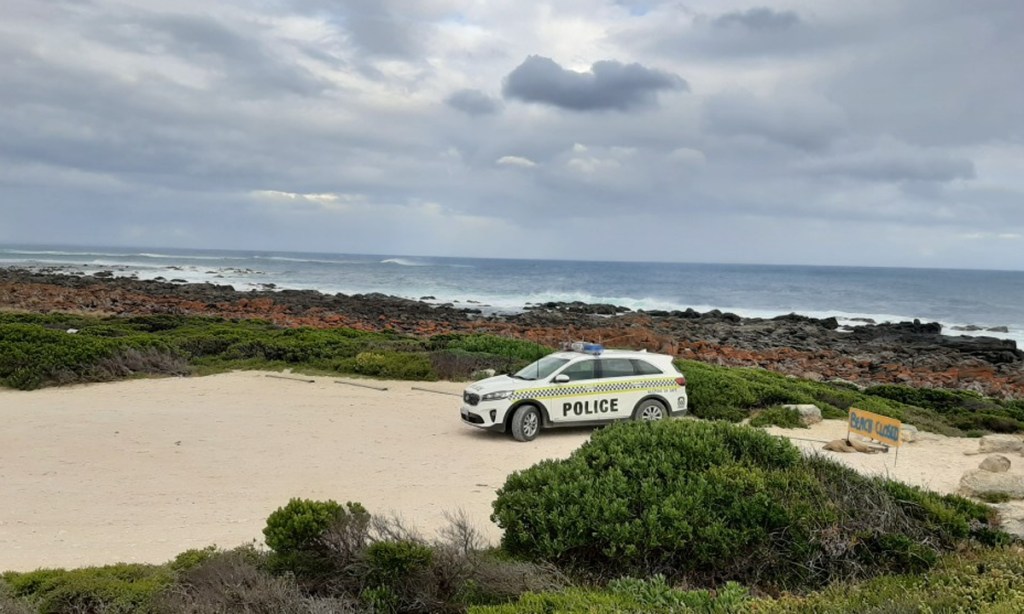 A surfer was attacked by a great white shark at Kangaroo Island's D'Estrees Bay yesterday.