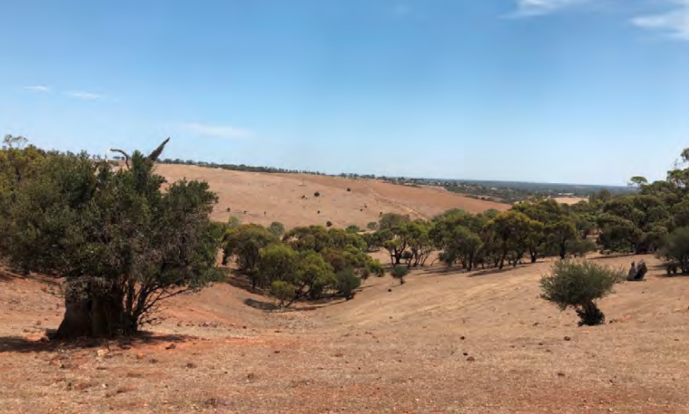 The Springwood development site. Photo: Ekistics Planning and Design/SCAP
