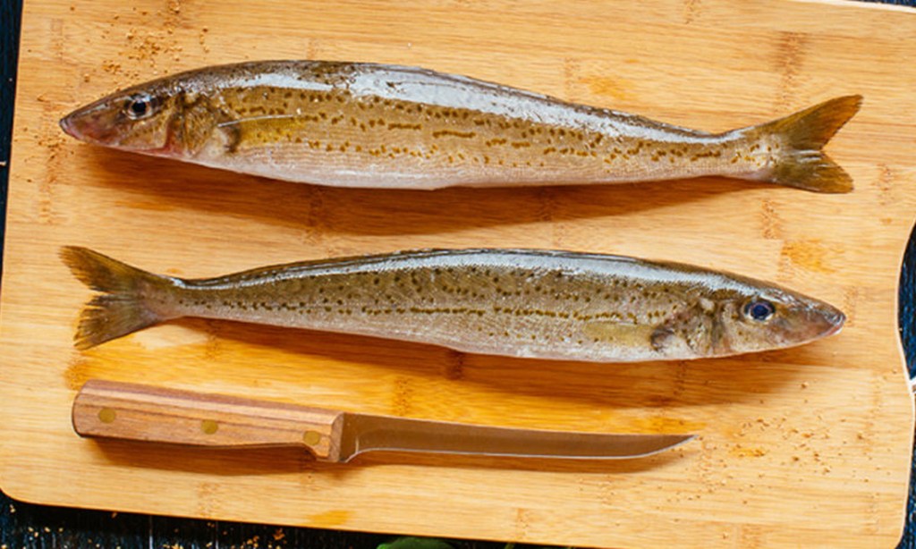 Thumbnail for Big fine hikes set to catch out rogue fishers
