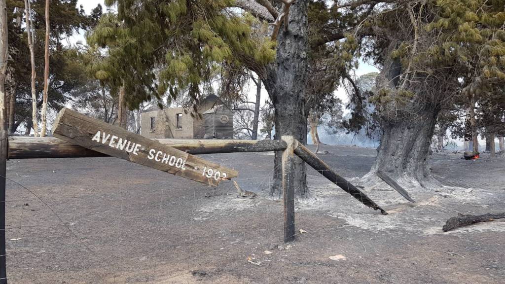 Picture: Nick McBride