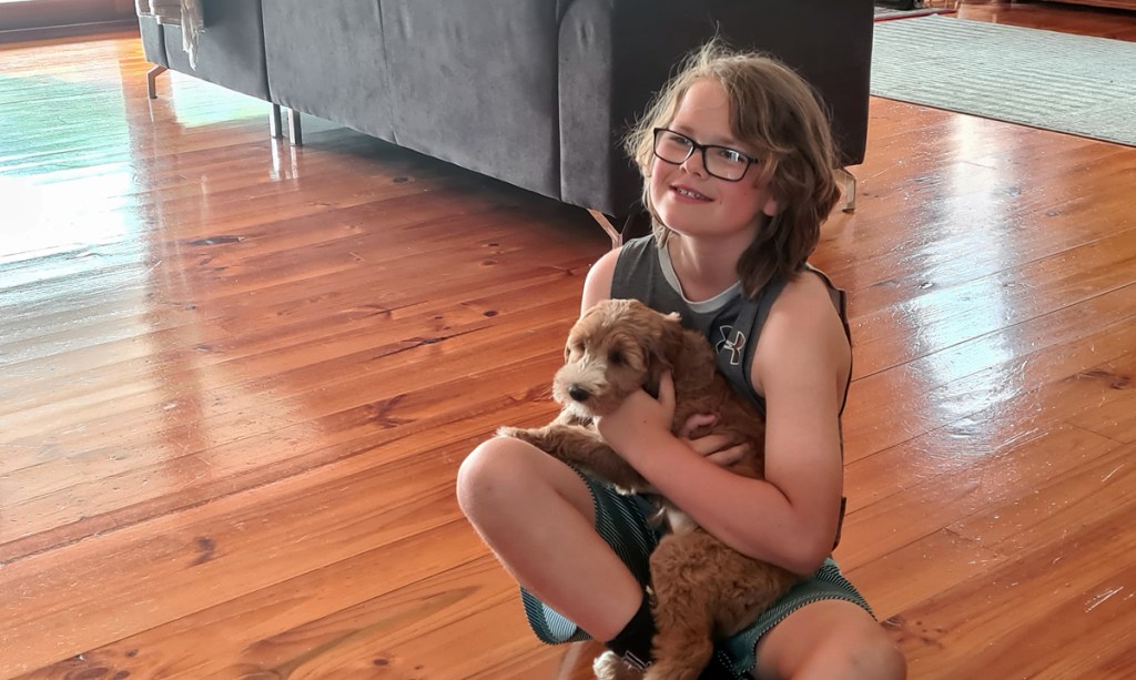 Thumbnail for Puppy boom leads SA’s pet industry out of the dog house