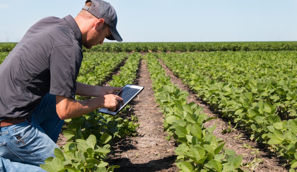 Thumbnail for 10 minutes with Michael Macolino