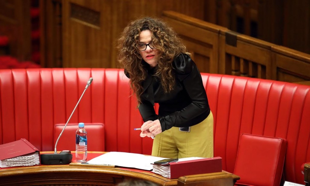 Connie Bonaros in parliament last year. Photo: Tony Lewis / InDaily