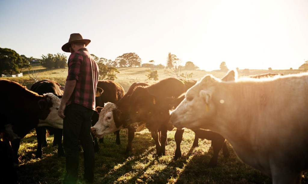 Thumbnail for Ag sector beefs up campaign to shift community expectations