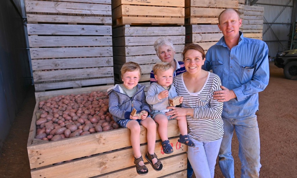 Diversifying into potatoes. Third generation Parndana farmers Peter and Meghan Cooper along with their sons Harry (left) and Zac. Peter’s mother, Barbara, pictured back left, spent many years teaching the agriculture science program at the local area school. Photo: Belinda Willis