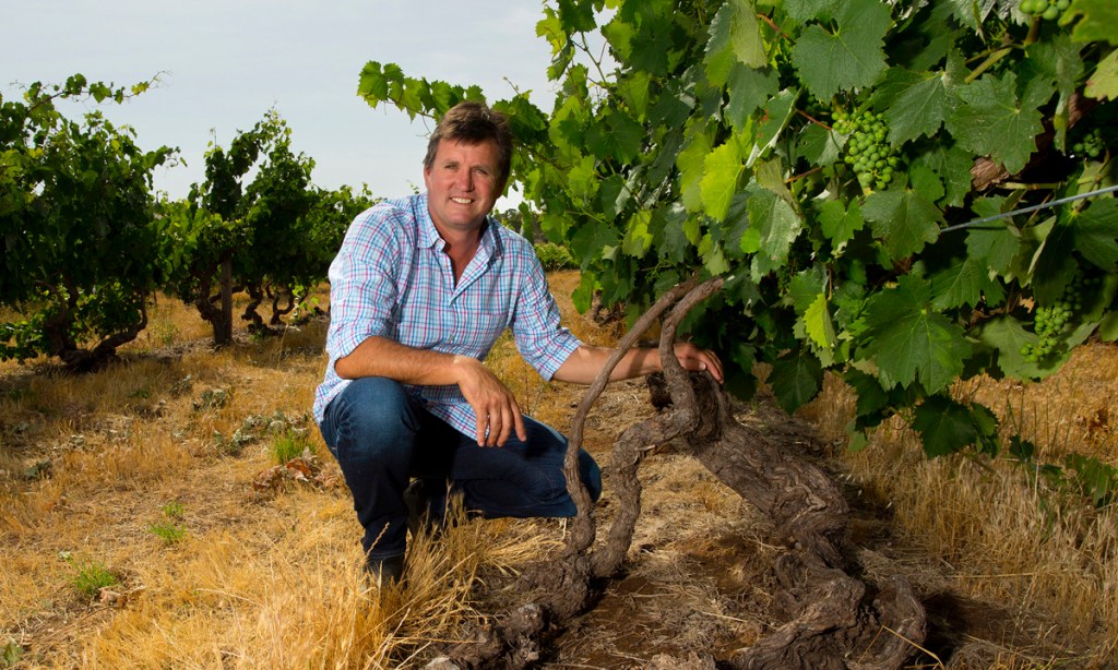 Thumbnail for Barossa vineyard named among world’s best